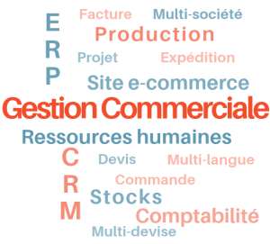 Nuage gestion commerciale