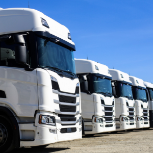 logiciel de transport